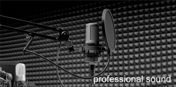 professional sound